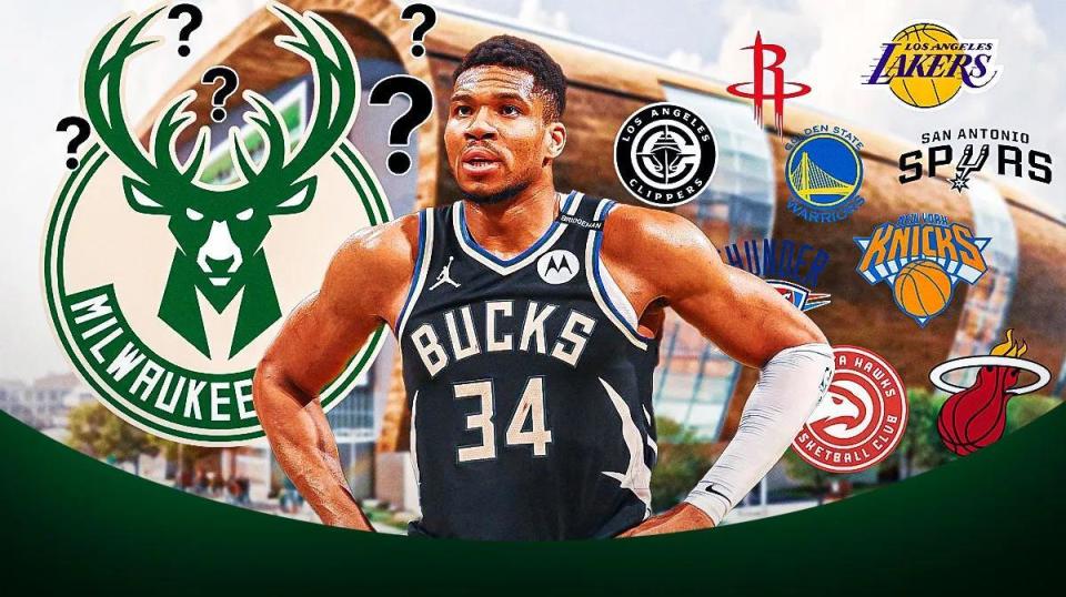 球迷关注的 球迷关注的